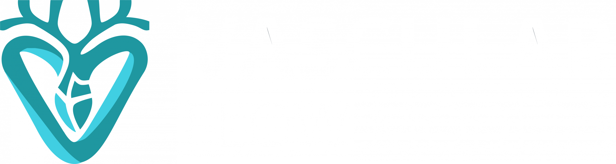 Vascular Flow Models