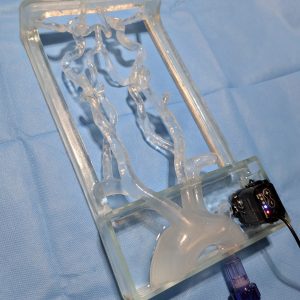 Intracranial Access Simulator