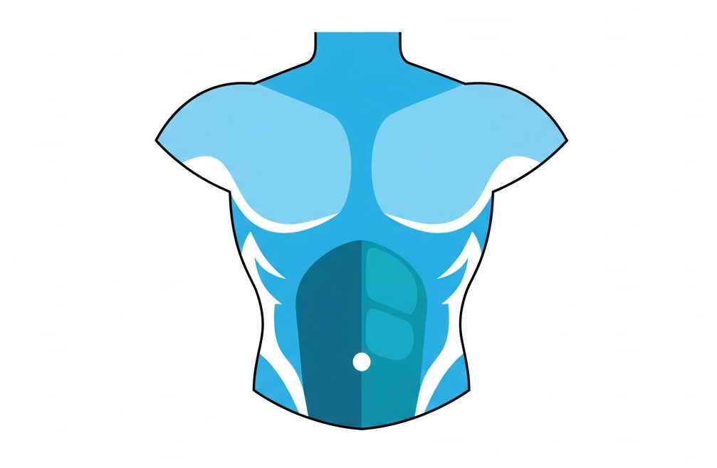 A blue diagram of a human torso highlights the abdominal muscles and the belly button.