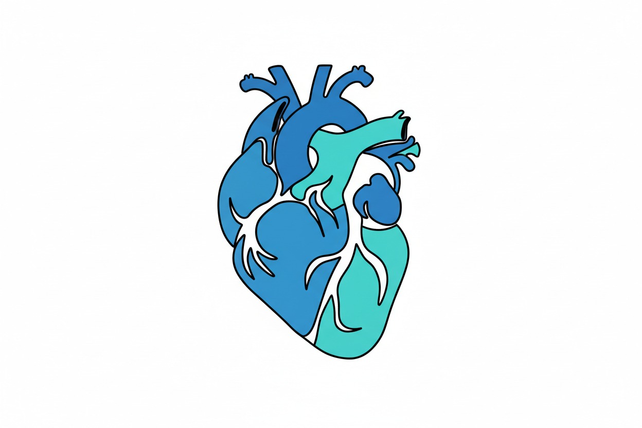 A stylized diagram of a human heart with blue and teal chambers and vessels against a plain white background.